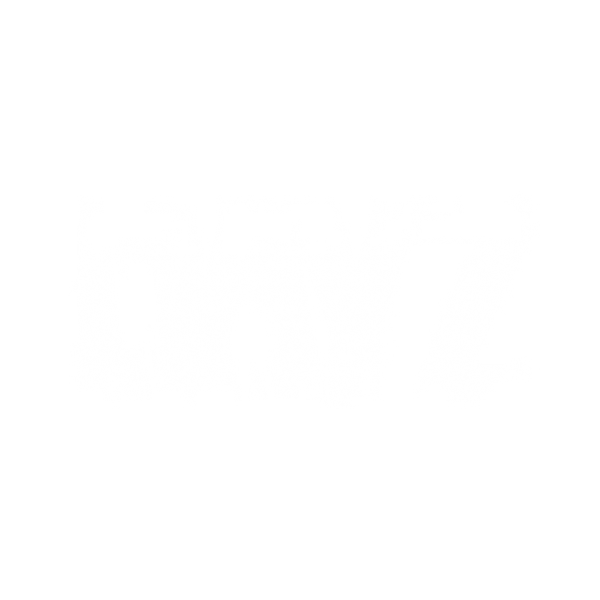 DayZ